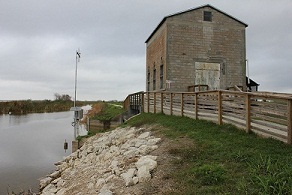 Lake Apopka Loop Trail