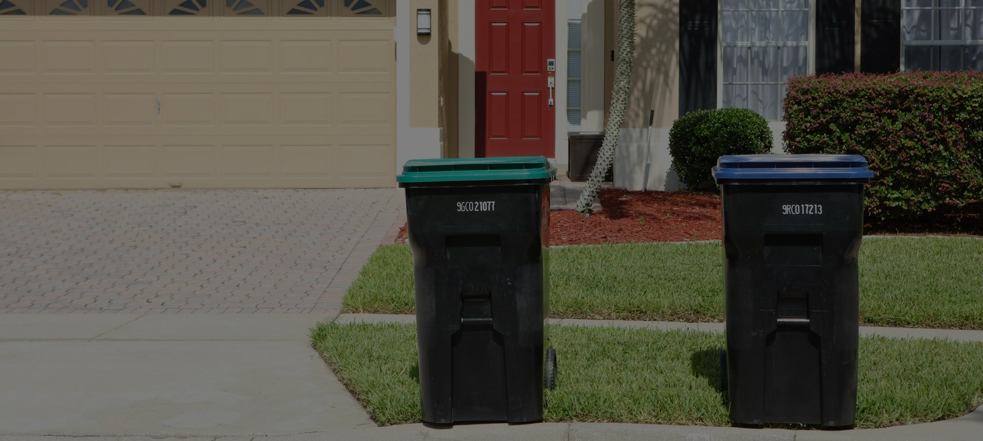 get weather forecasts