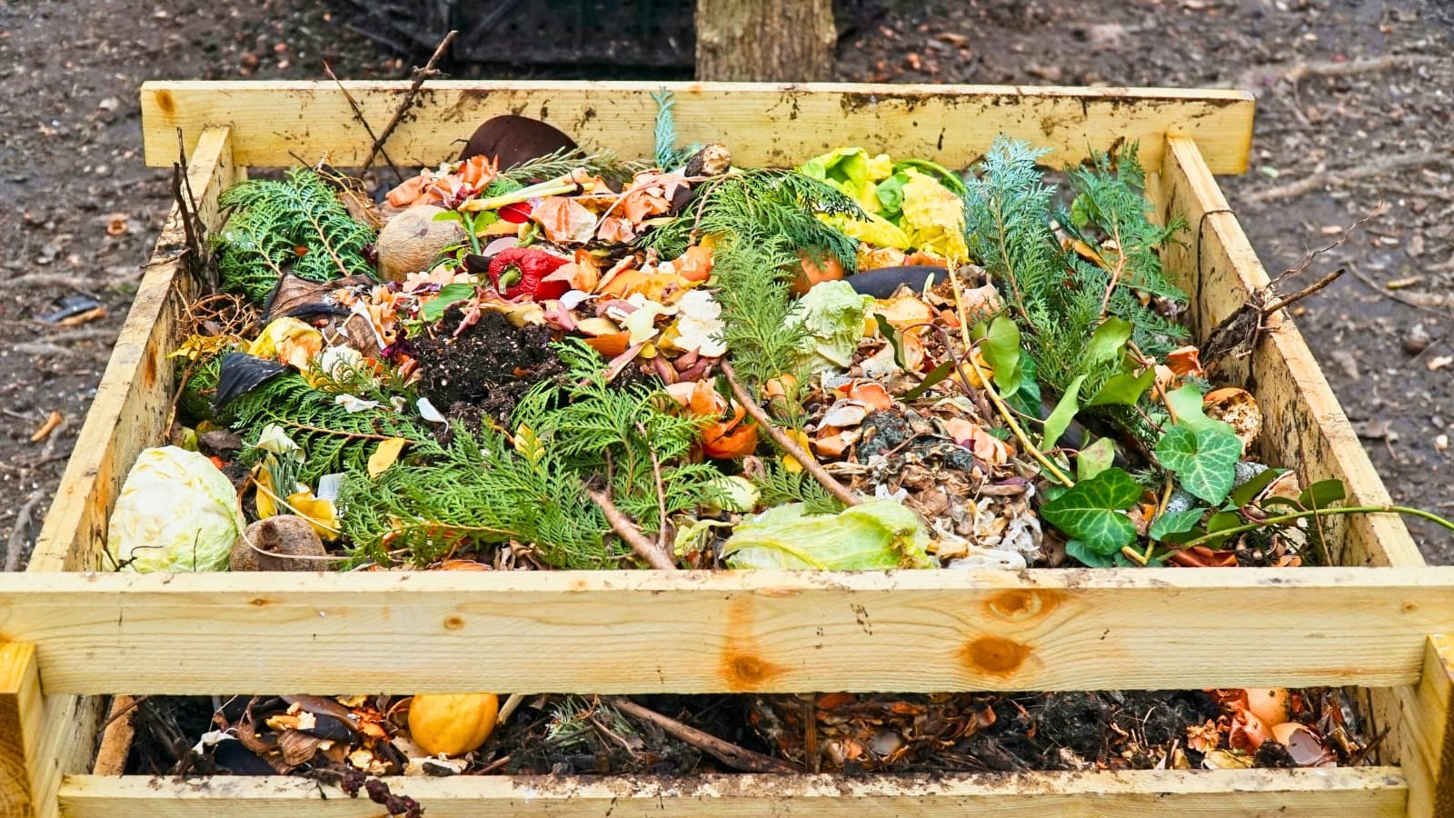 Banner image of the Residential Food Waste Diversion and Composting Pilot Program