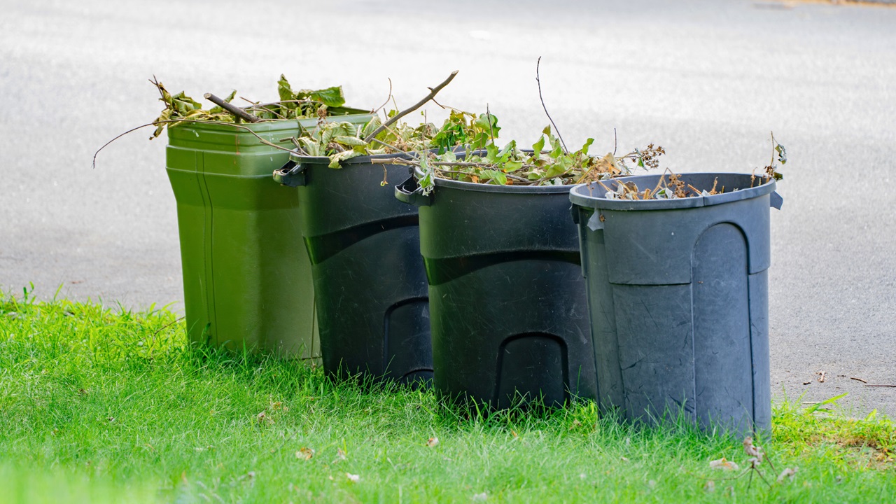 Yard waste in small trash cans.