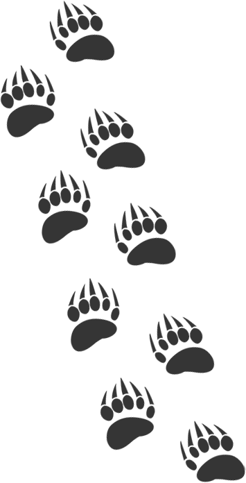 graphic of bear paw tracks